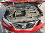 Lexus RX 2010