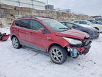 Ford Escape 2013