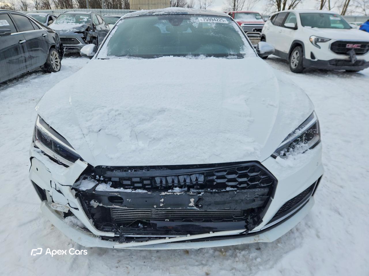 Audi RS5 2019