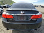 Honda Accord 2013