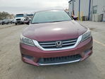 Honda Accord 2013