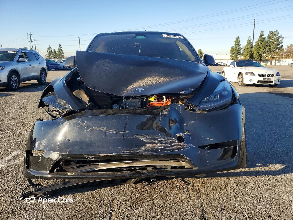Tesla Model Y 2024