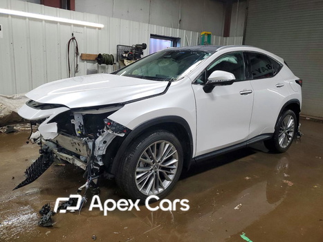 Lexus NX 2025 - Zdjęcie 1 z 13