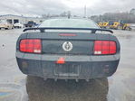 Ford Mustang 2007