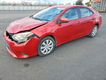 Toyota Corolla 2014