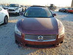 Nissan Maxima 2010
