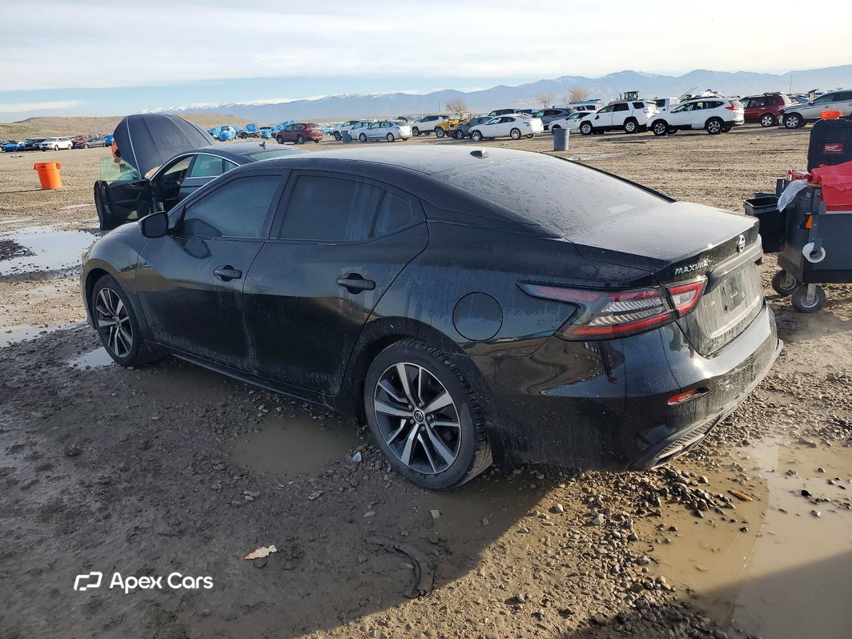 Nissan Maxima 2019