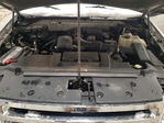 Ford Expedition 2010