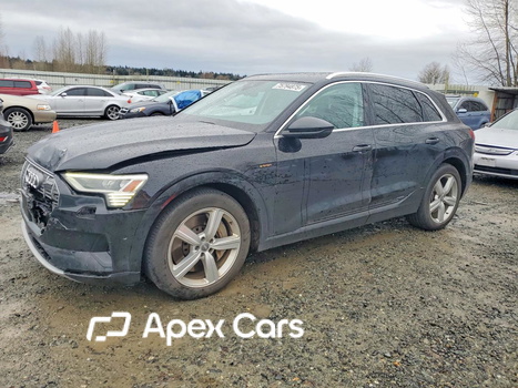 Audi e-tron 2019 - Zdjęcie 1 z 13