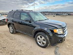 Ford Escape 2012