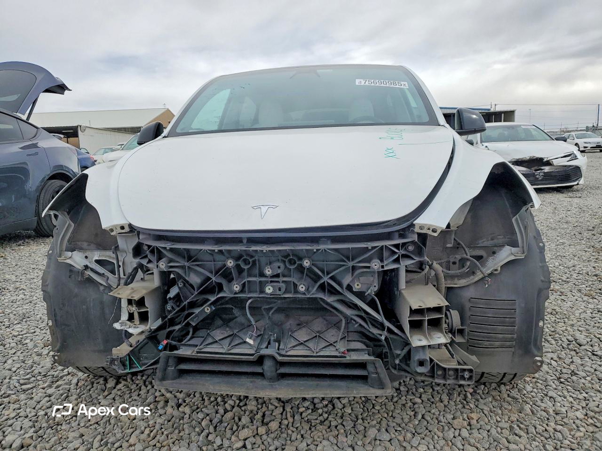 Tesla Model Y 2020