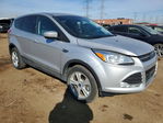 Ford Escape 2013