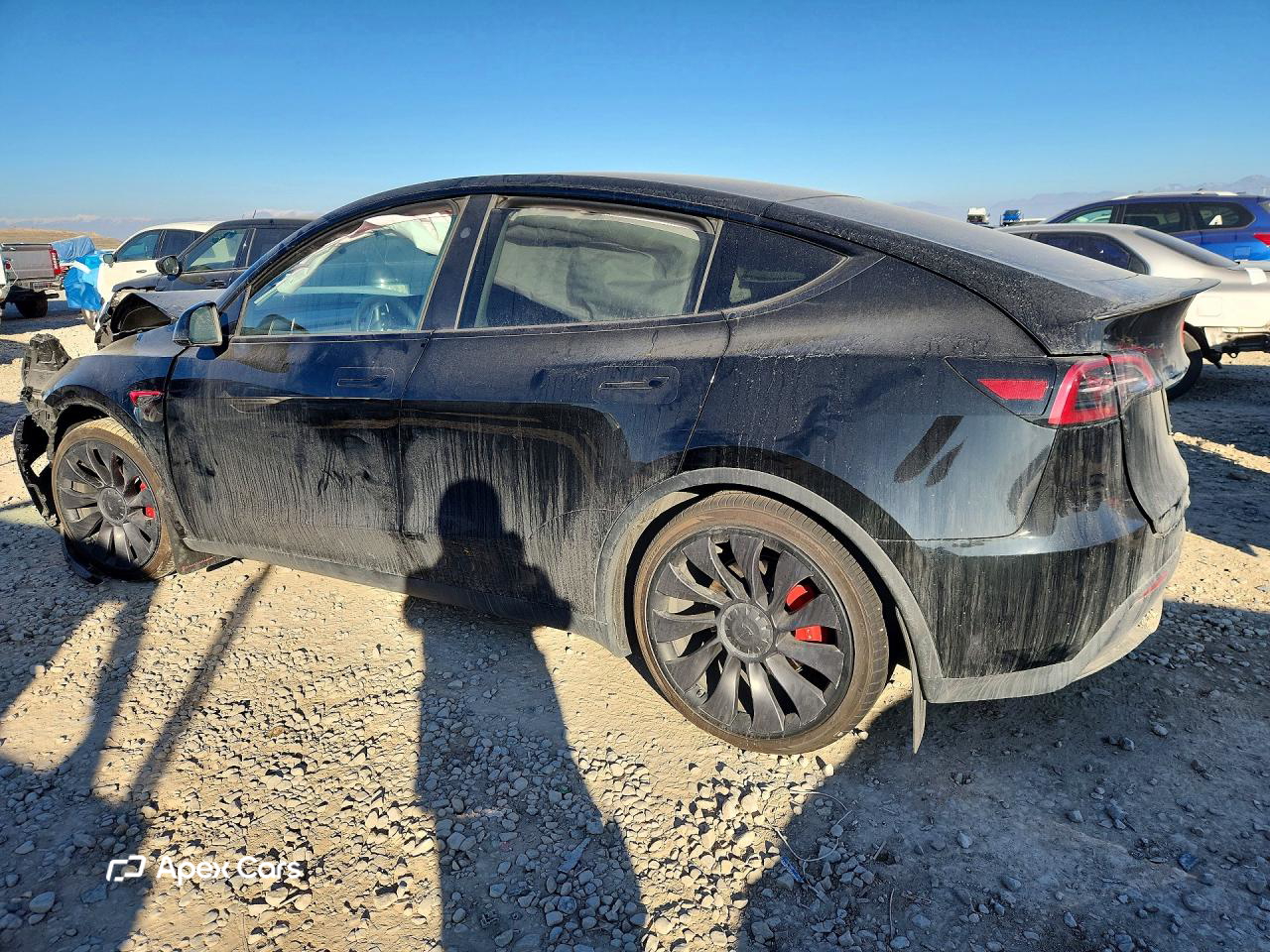 Tesla Model Y 2023
