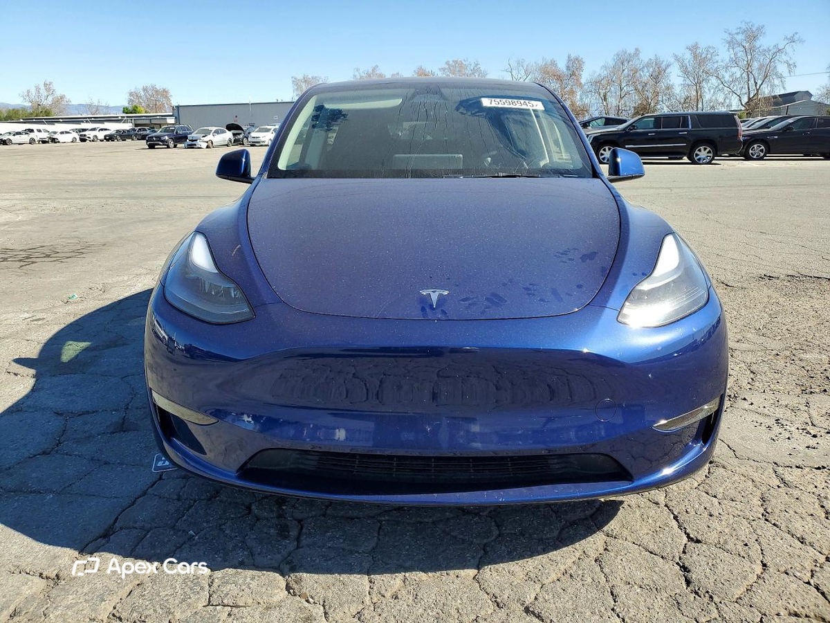 Tesla Model Y 2025