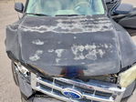 Ford Escape 2008