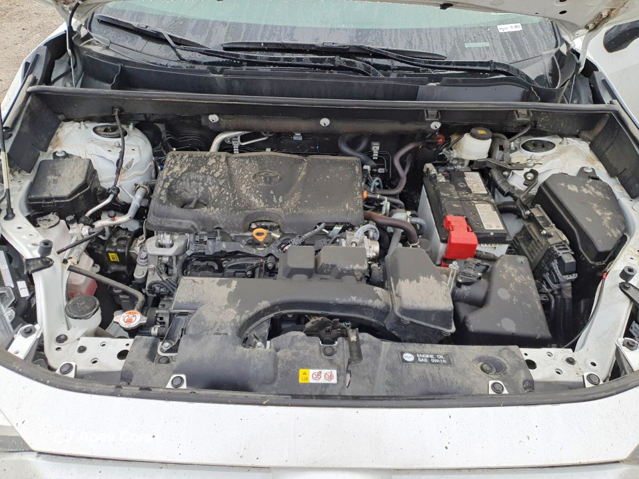 Toyota RAV 4 2024