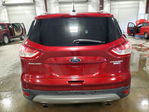 Ford Escape 2013