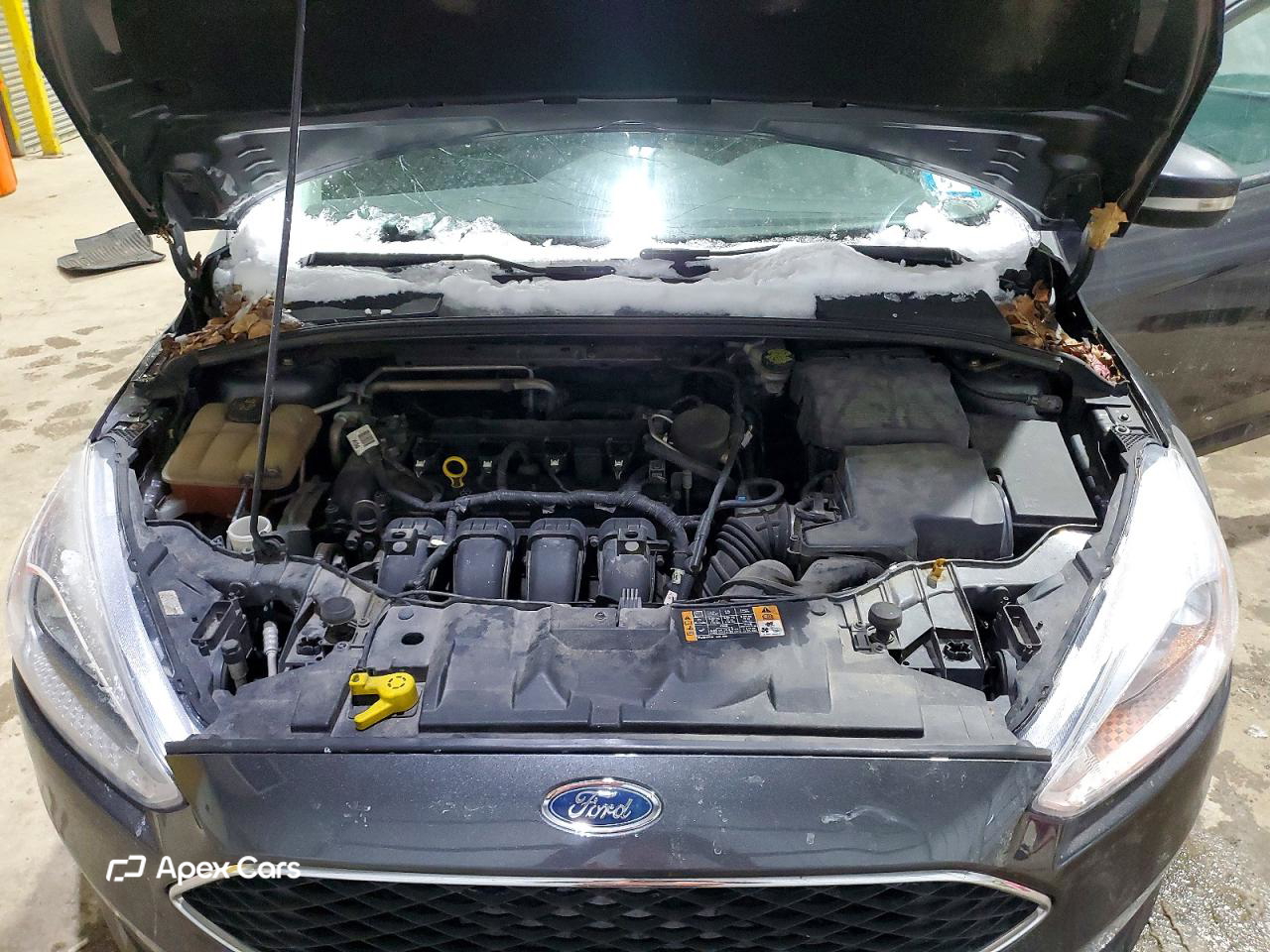 Ford Focus 2016