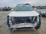 Toyota RAV 4 2024