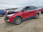 Ford Escape 2016