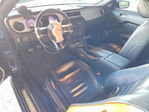 Ford Mustang 2012
