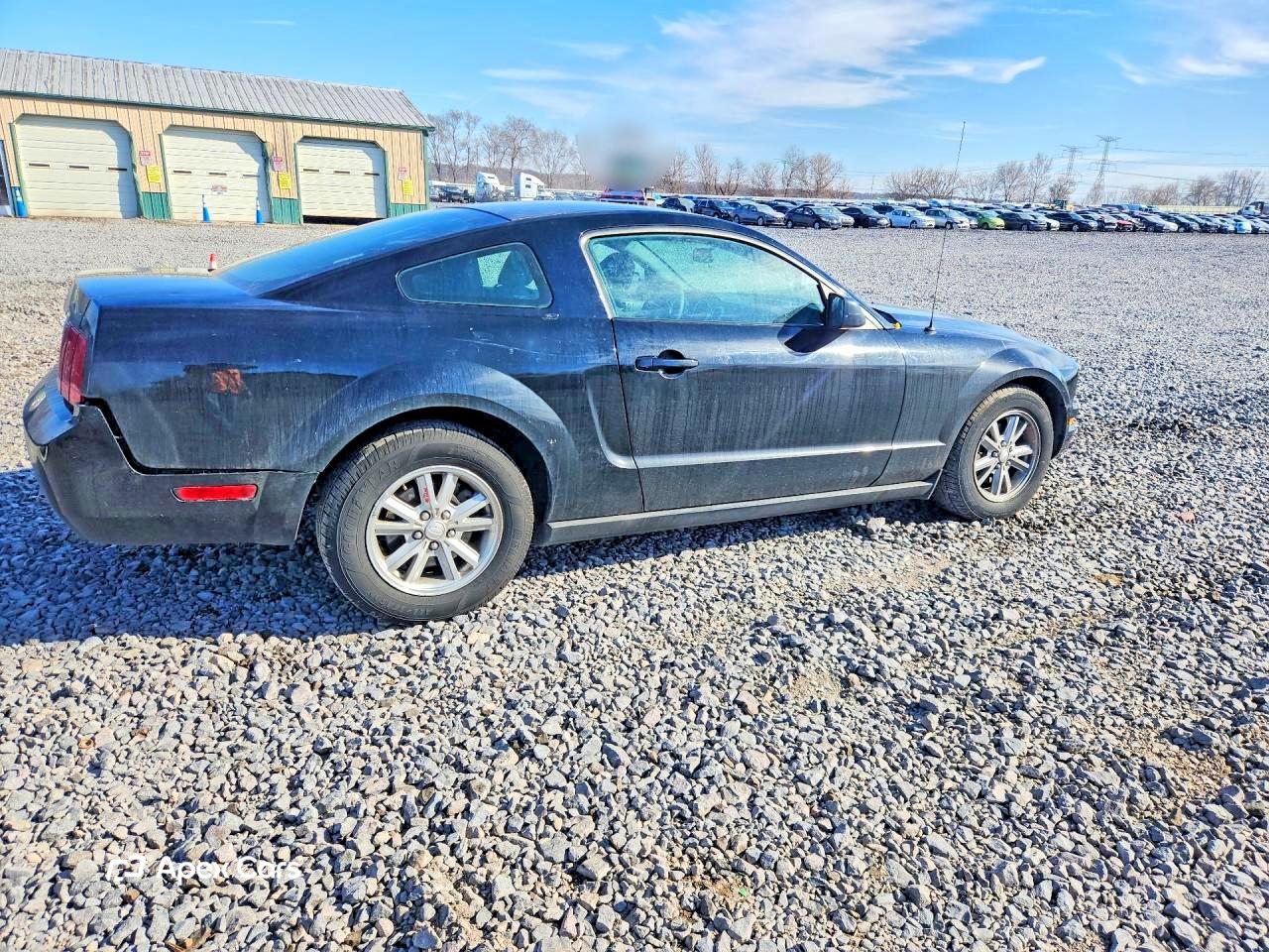 Ford Mustang 2007