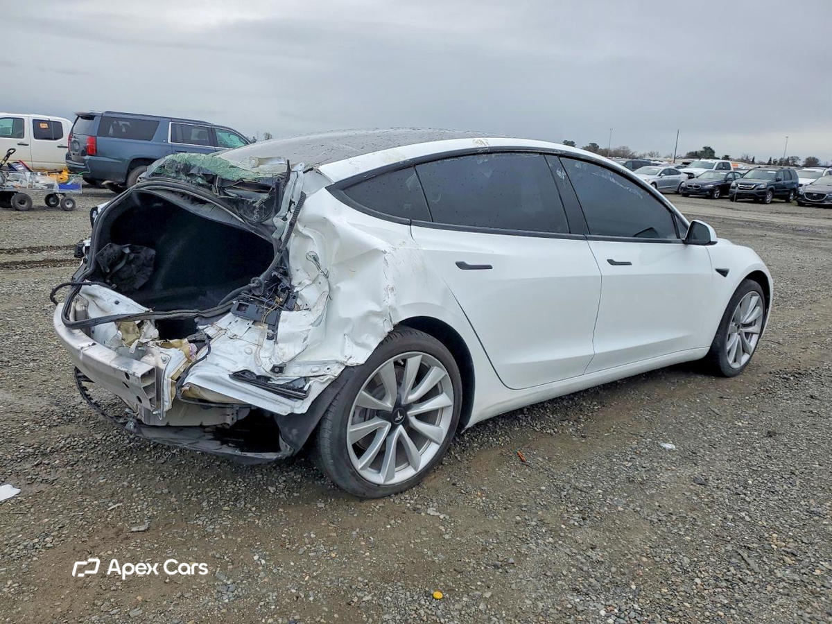 Tesla Model 3 2019