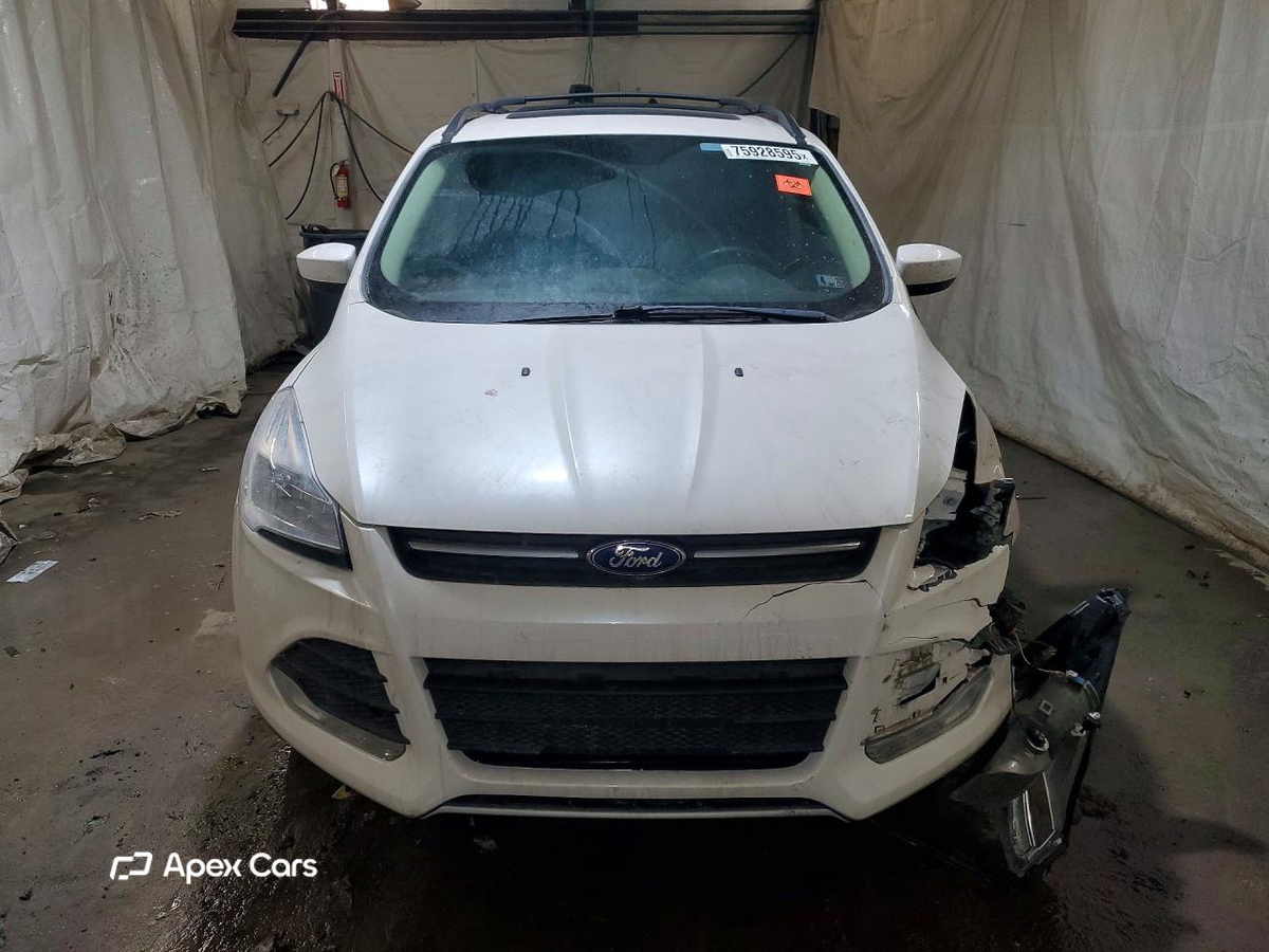 Ford Escape 2014