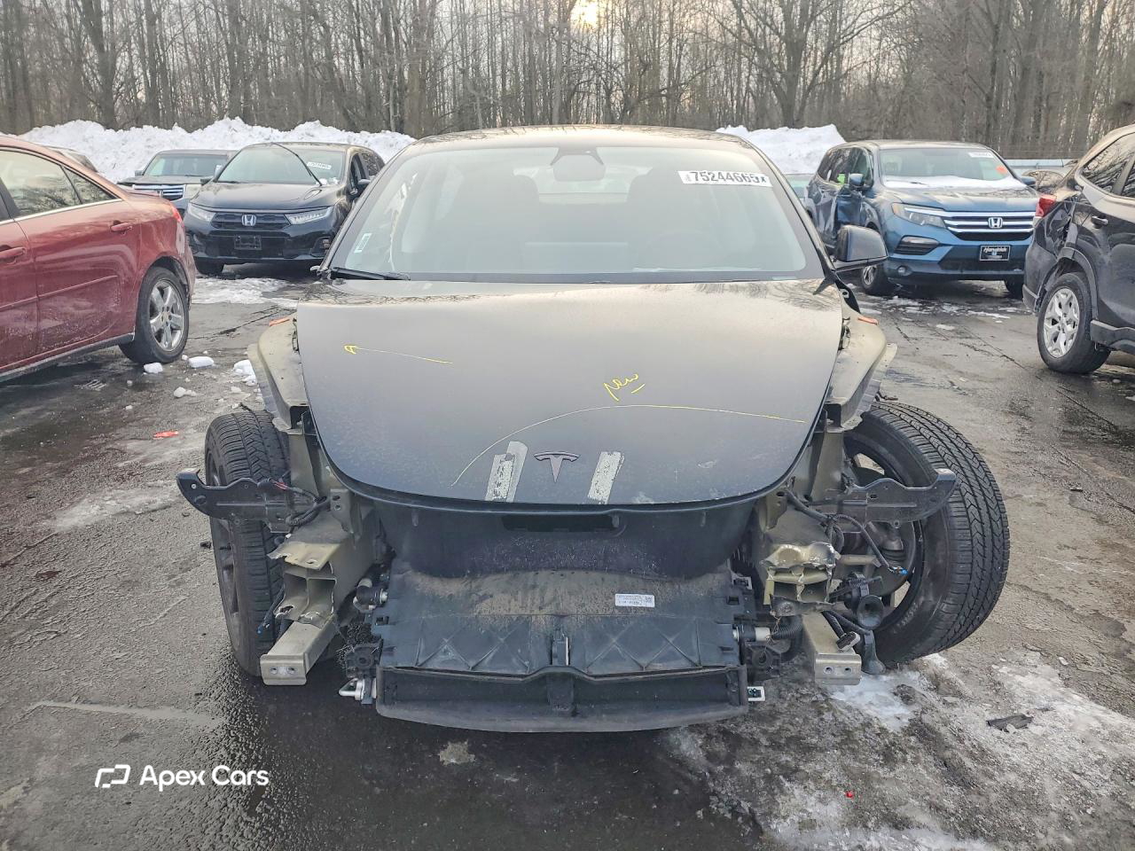 Tesla Model 3 2019