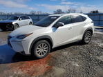 Lexus NX 2015