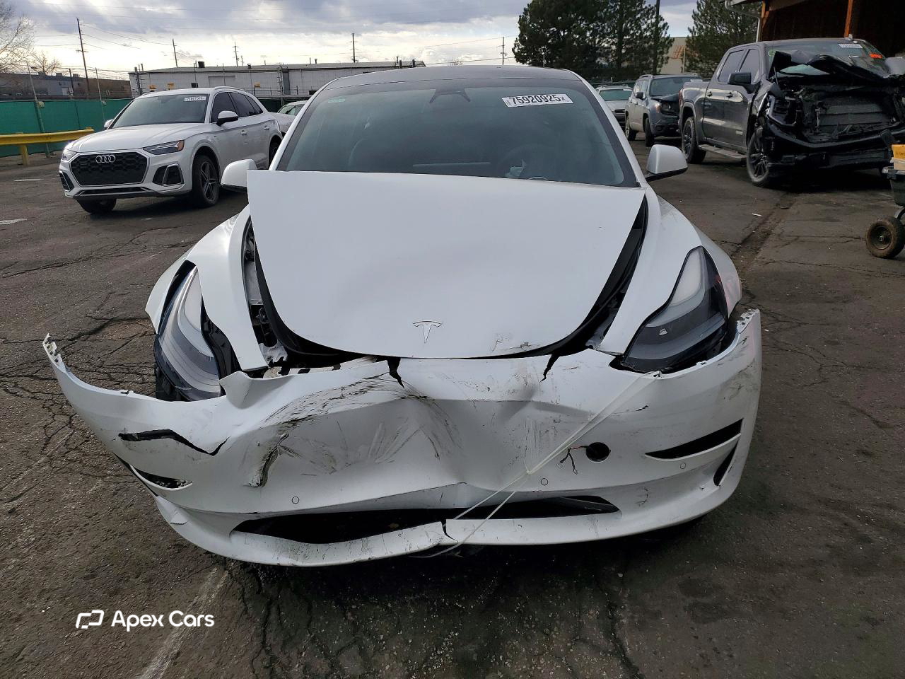 Tesla Model 3 2021