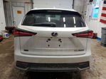 Lexus NX 2020