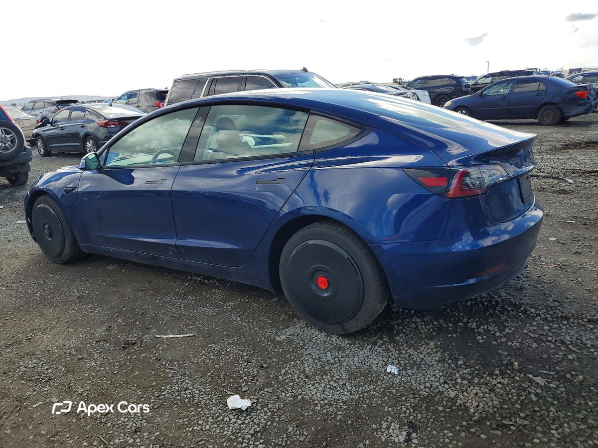 Tesla Model 3 2021