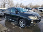 Lexus RX 2013