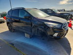 Ford Escape 2019
