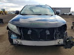 Lexus RX 2010