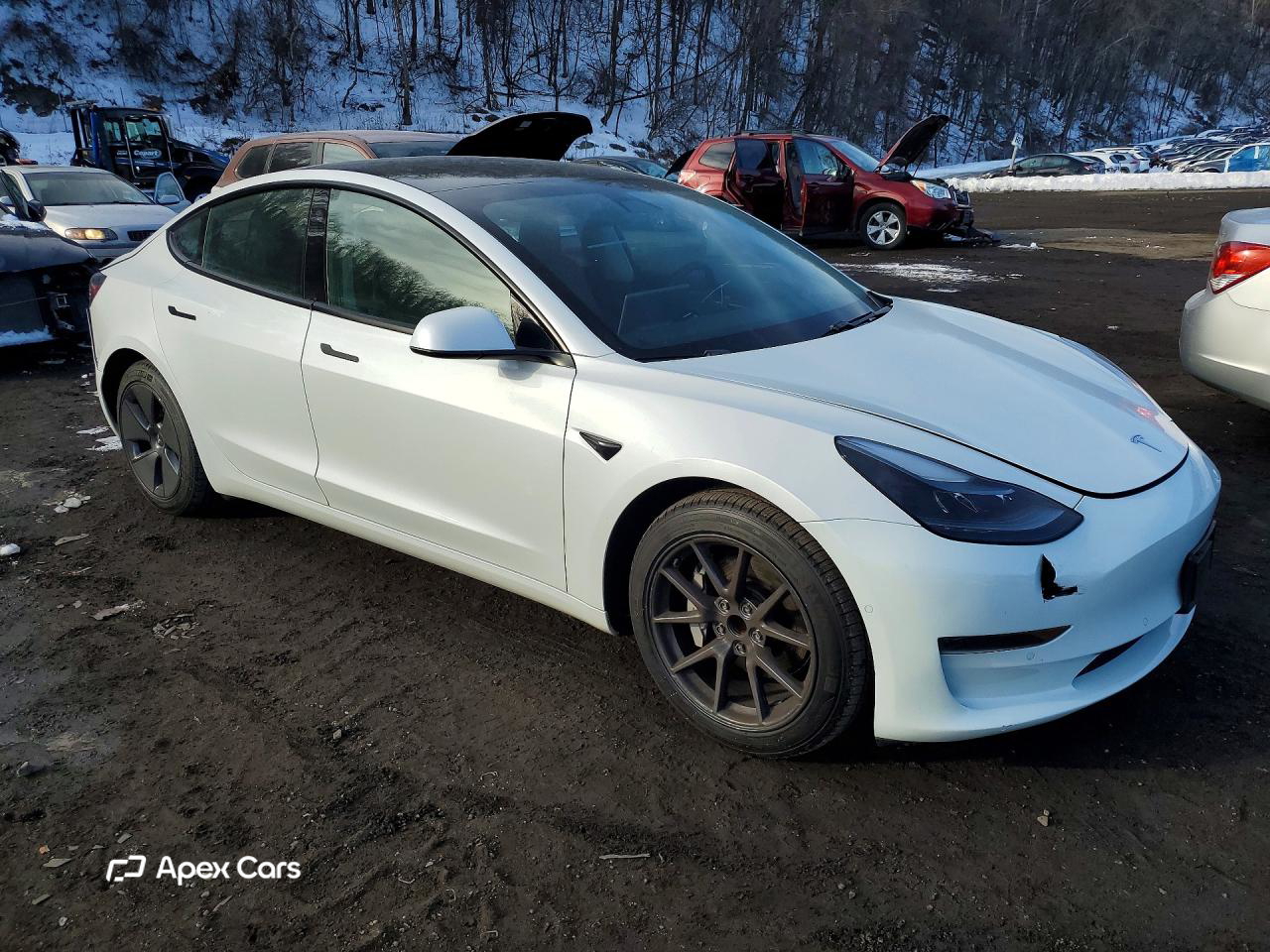 Tesla Model 3 2021