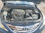 Hyundai Sonata 2011