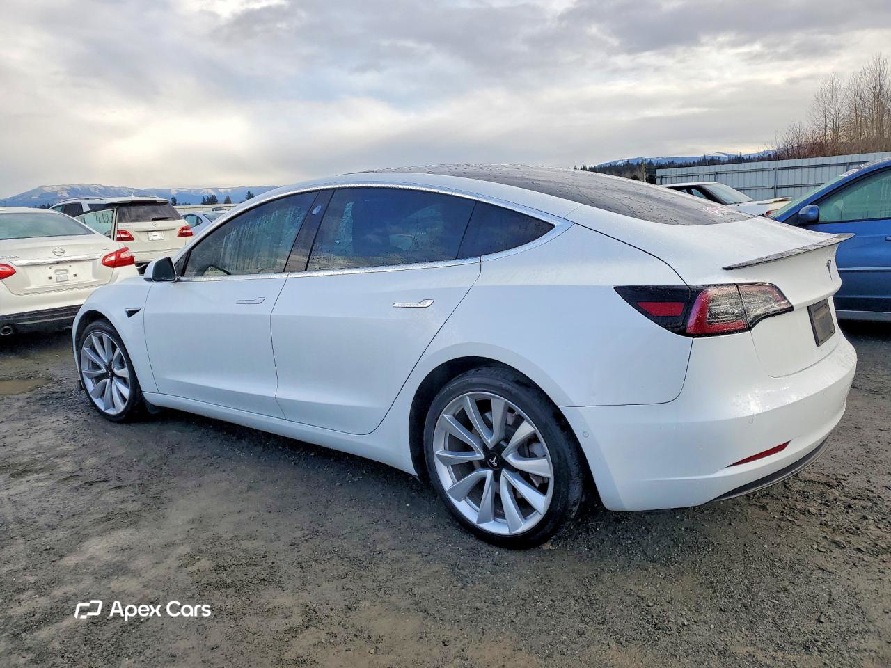 Tesla Model 3 2019