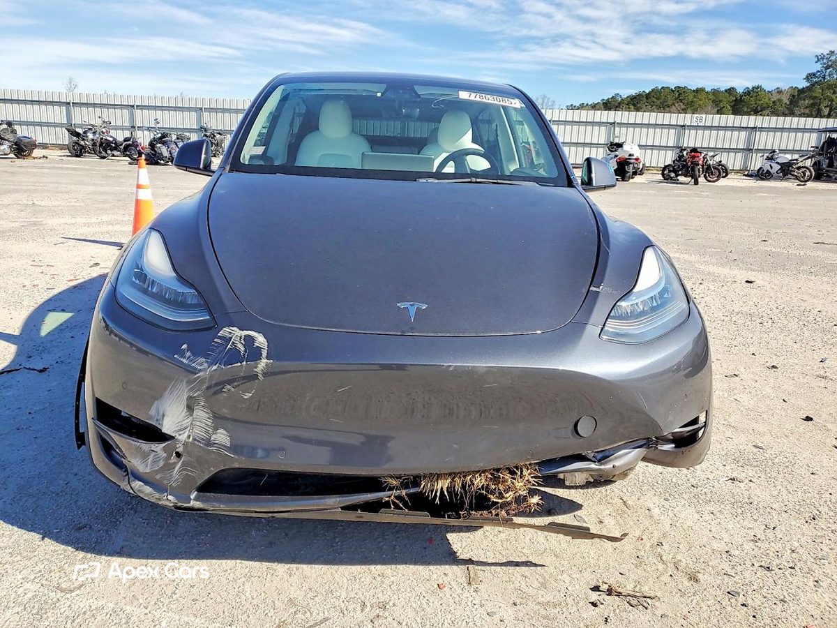 Tesla Model Y 2021