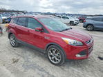 Ford Escape 2014