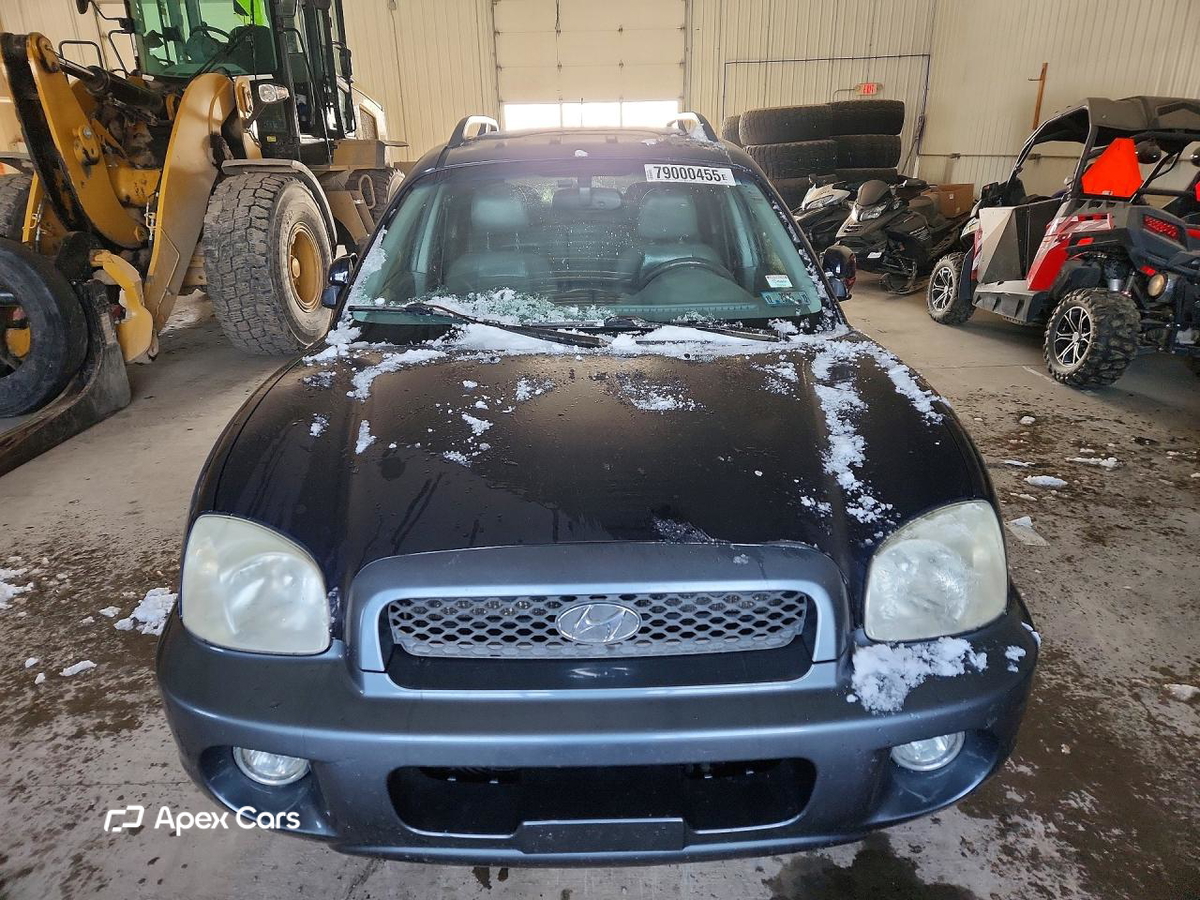 Hyundai Santa Fe 2004