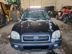 Hyundai Santa Fe 2004