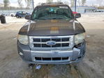 Ford Escape 2011