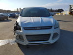 Ford Escape 2013