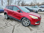 Ford Escape 2014
