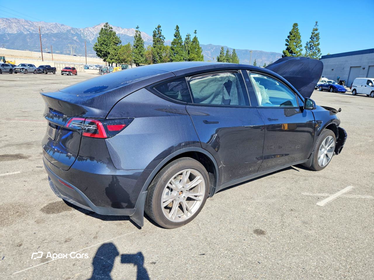 Tesla Model Y 2024