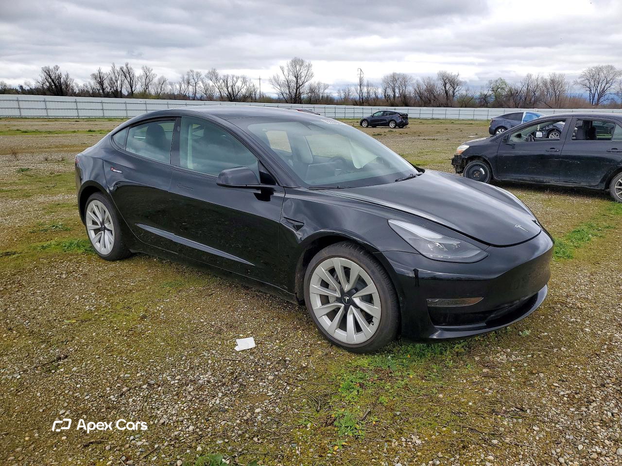Tesla Model 3 2023