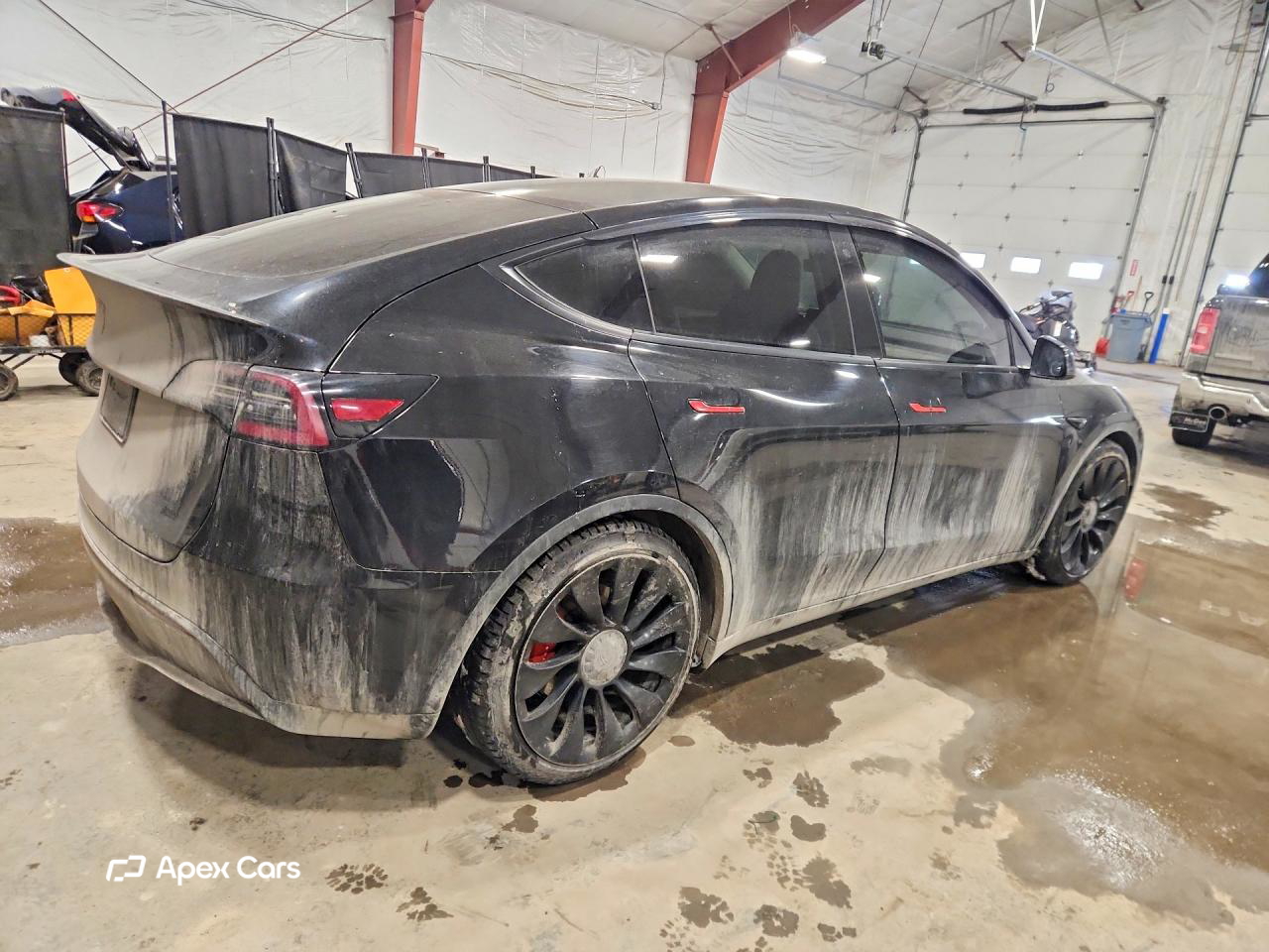 Tesla Model Y 2020