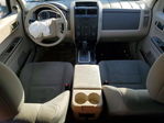 Ford Escape 2010